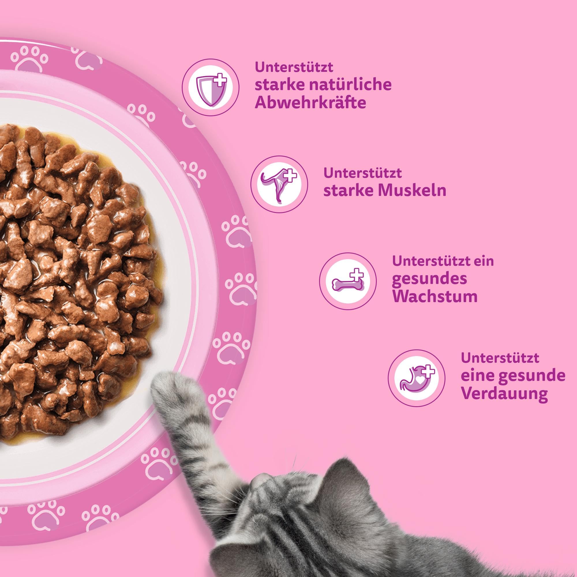 Whiskas Junior Nassfutter in Sauce Klassische Auswahl 84x85g