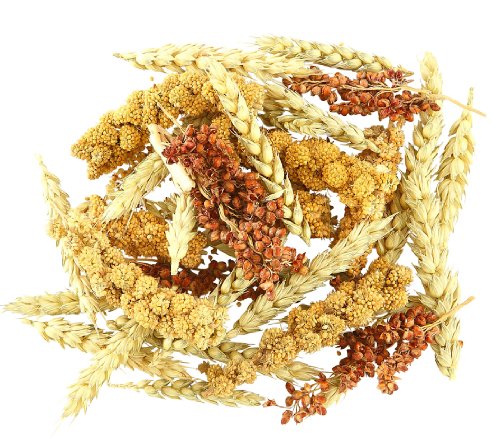Dehner Best Nature Nagersnack Getreideähren-Mix 3x50 g