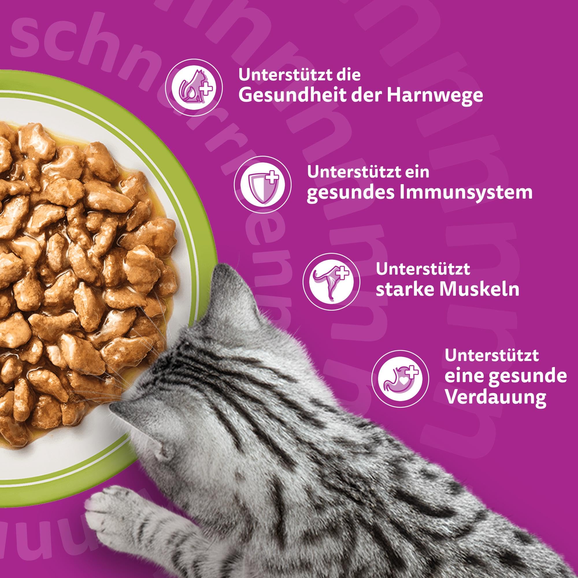 Whiskas Senior 7+ Gemischte Auswahl Sauce Nassfutter 48x85g