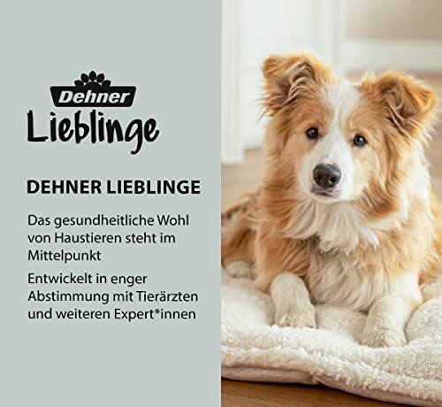 Dehner Lieblinge Zupfbürste Fellbürste 2in1 Bambus 23,5cm
