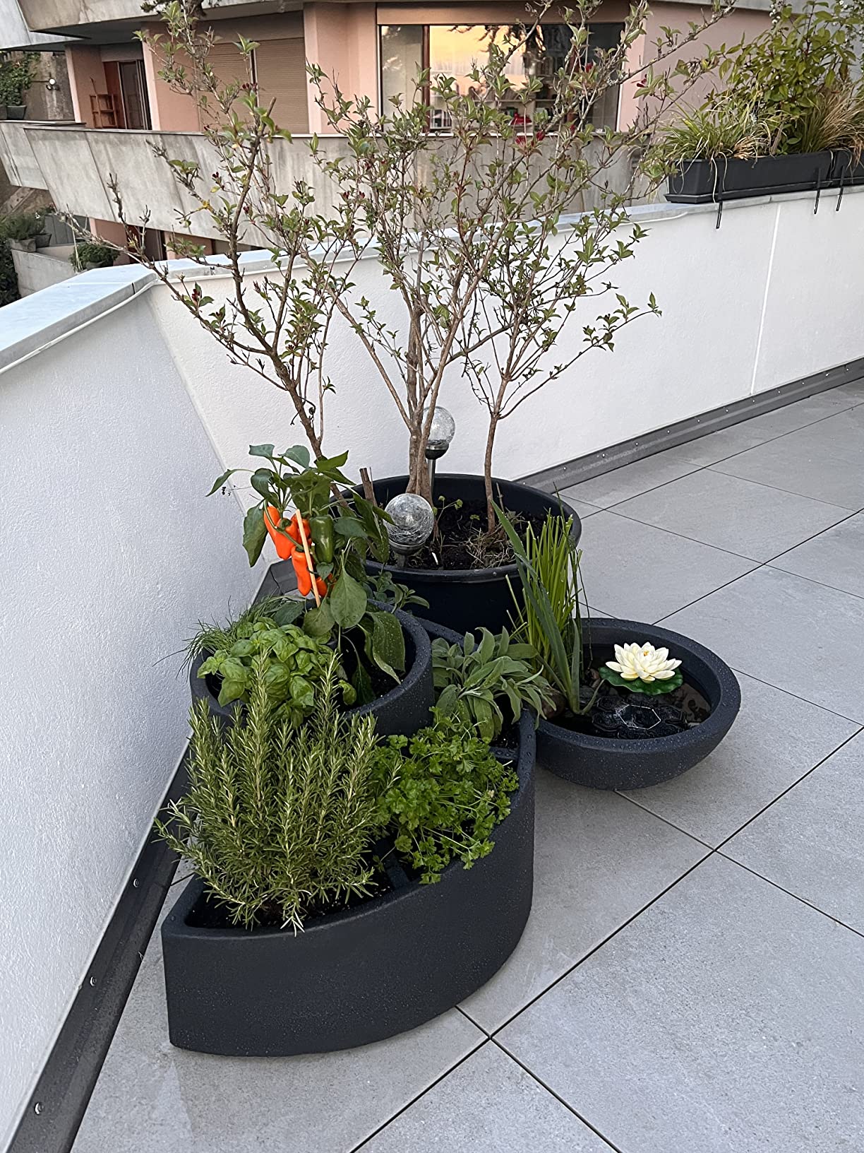 Dehner Kugelschale Pflanzschale Ø52cm anthrazit Miniteich