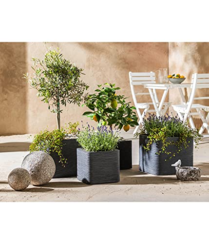 Dehner Rille Pflanztopf Kunststoff 40x40x34 cm anthrazit