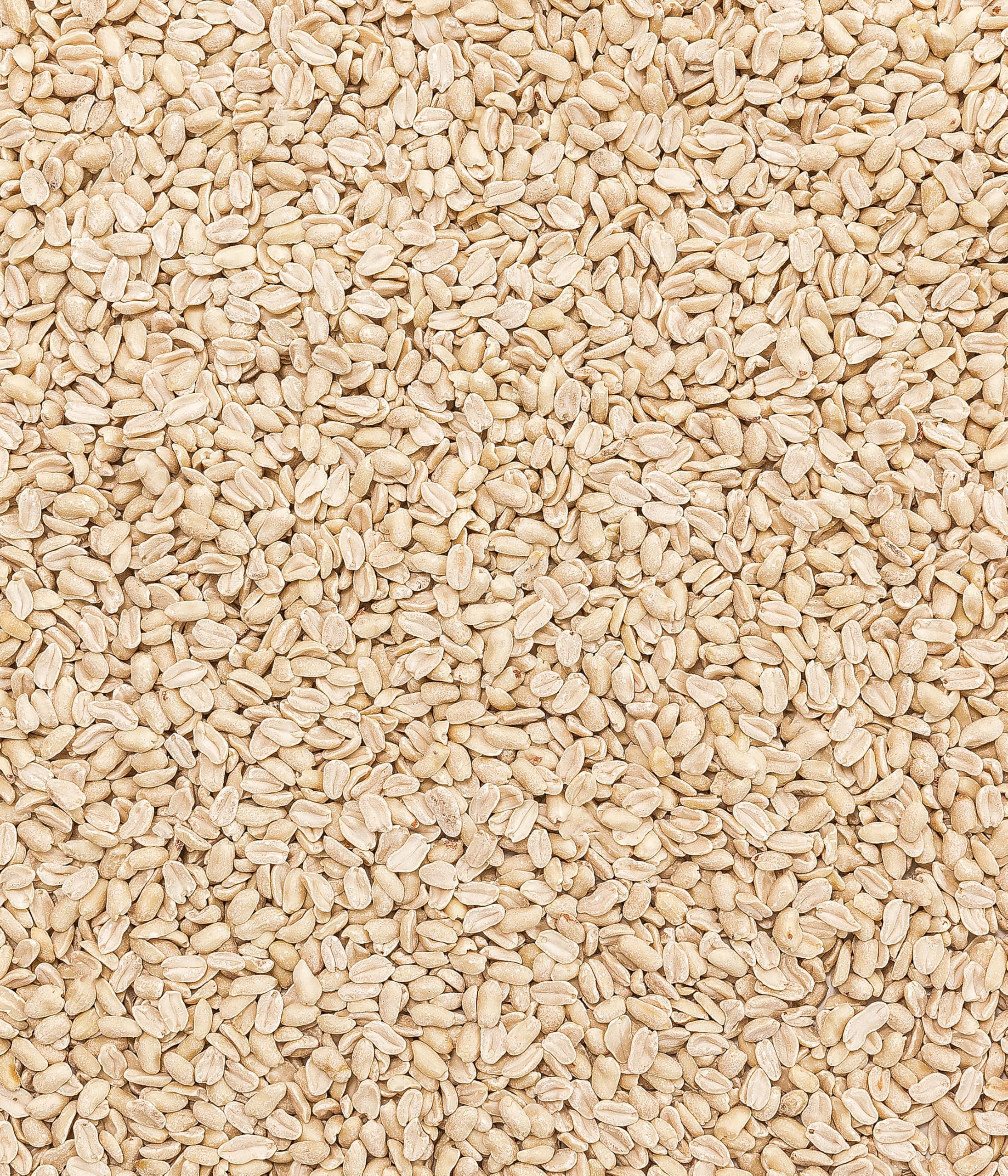 Dehner Natura Wildvogelfutter halbe Erdnüsse 5kg proteinreich