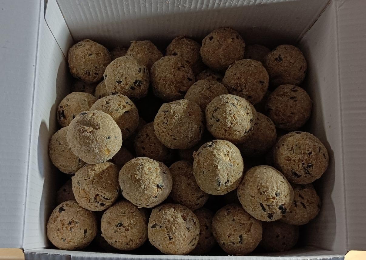 Dehner Natura Meisenknödel ohne Netz Insekten 100x90g proteinreich