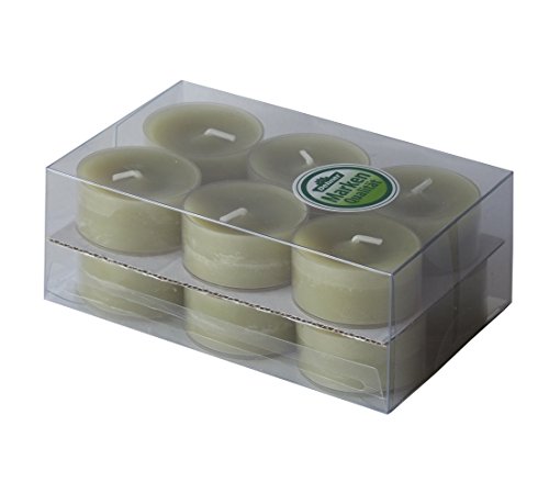 Dehner Premium Lovely Teelichter kiwi 72 Stück 4 Std.