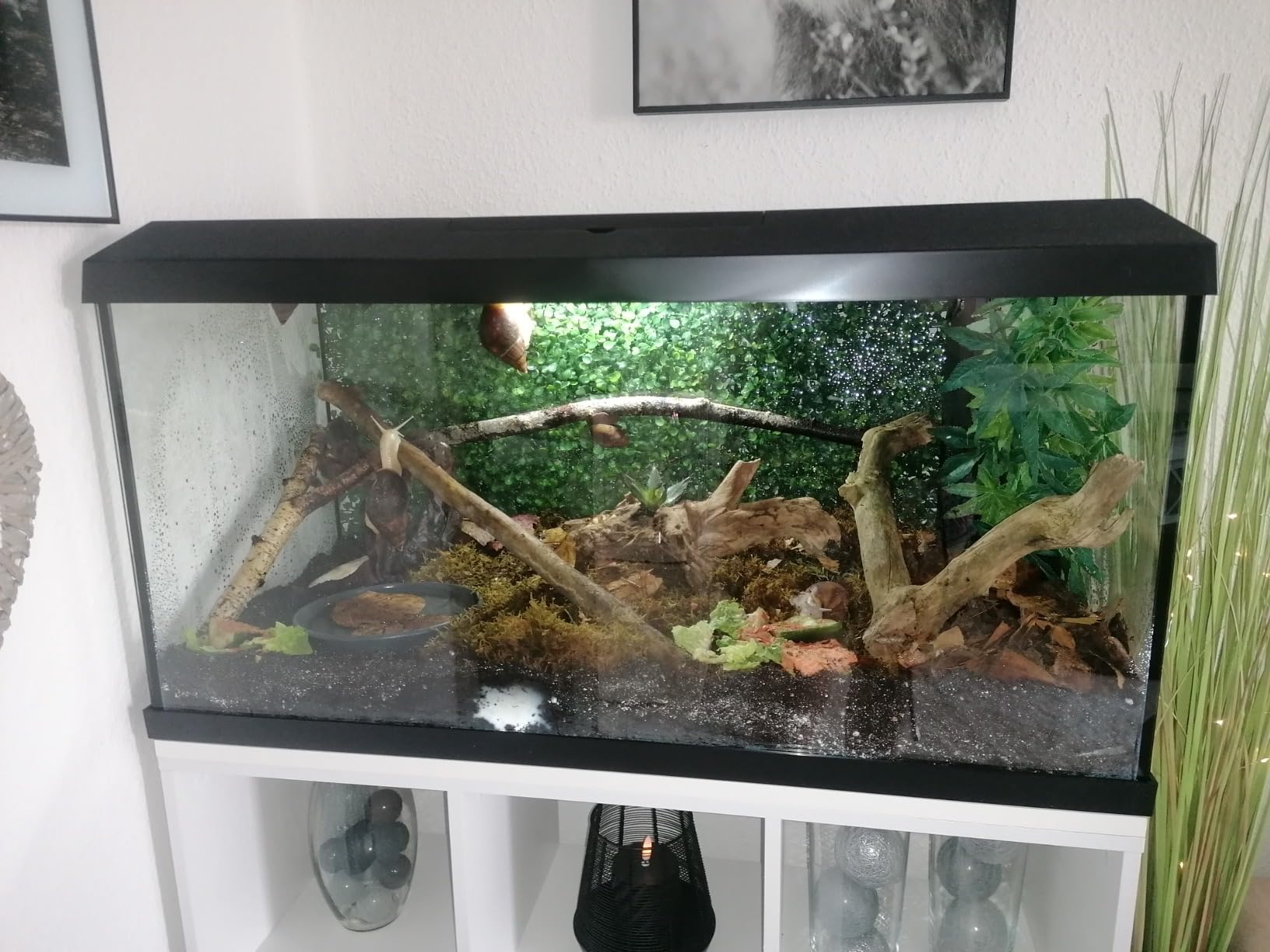Dehner Aqua Start 80 Aquarium Starterset 110 L LED Komplett