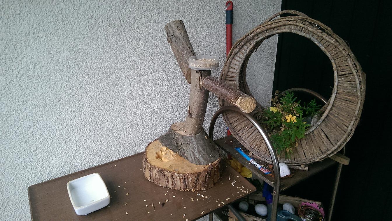 Dehner Natura Streufutter Wildvögel 3,6kg schalenfrei Erdnuss