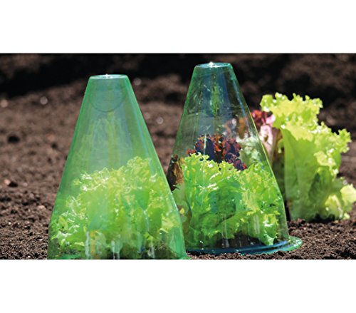 Dehner Pflanzenhut grün 10 Stück Schutz 30cm