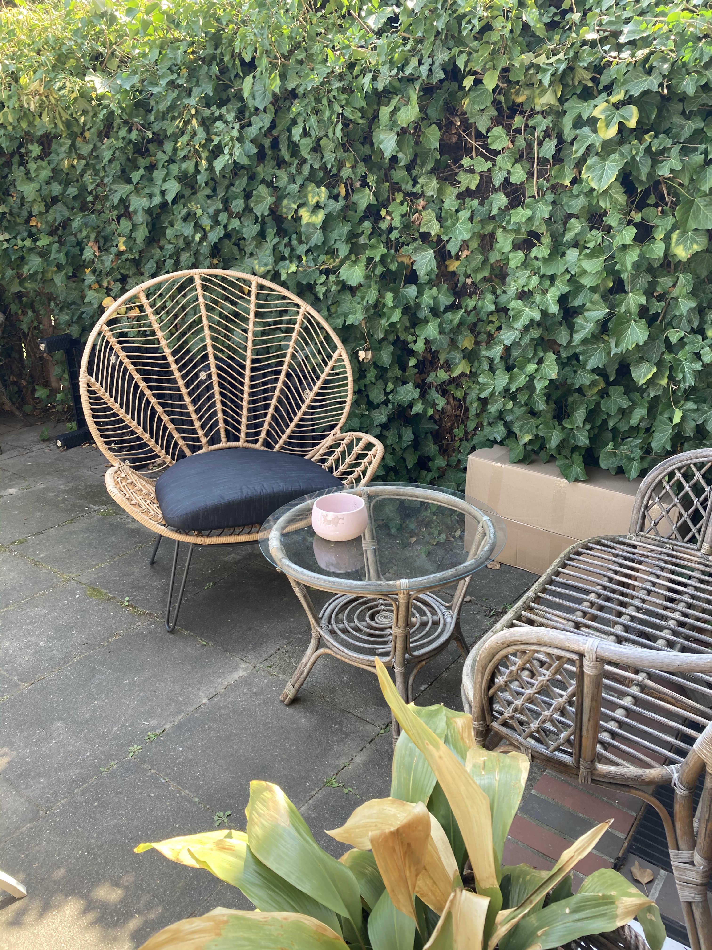 Dehner Venezia Geflechtsessel schwarz-beige mit Kissen