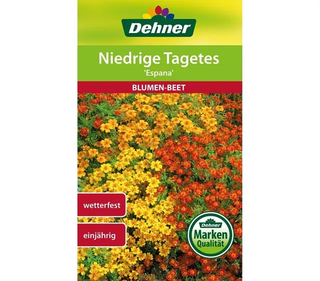 Dehner Tagetes Espana Samen niedrige Sorte 5er Pack