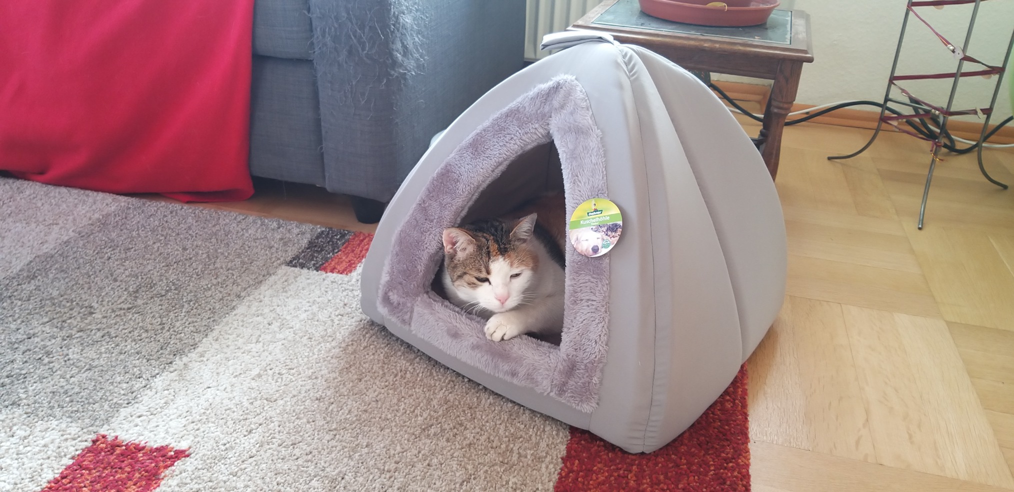 Dehner Lieblinge Findus Katzen Kuschelhöhle Grau 40x40x35