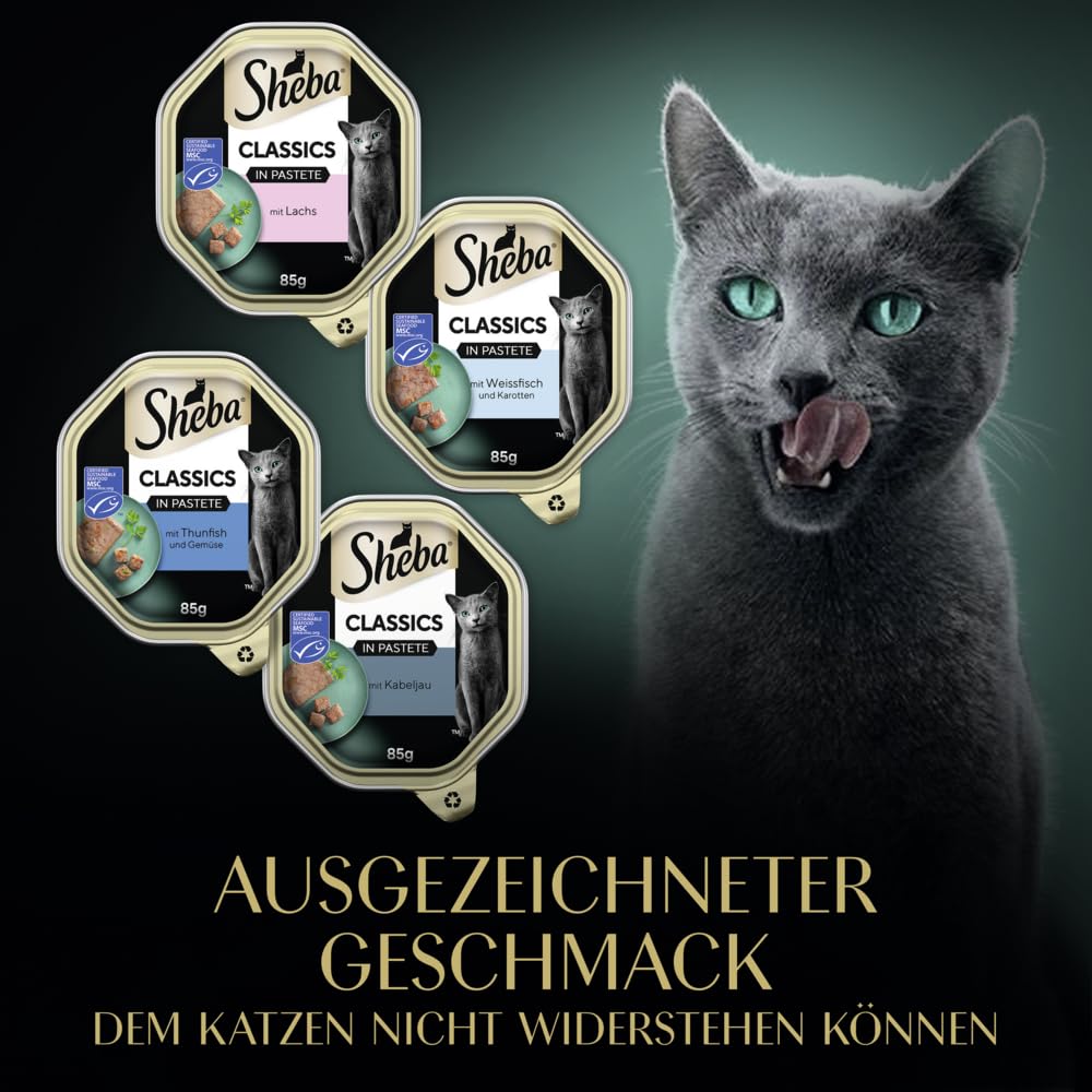 Sheba Classics Fisch Variation Pastete Nassfutter 32x85g MSC