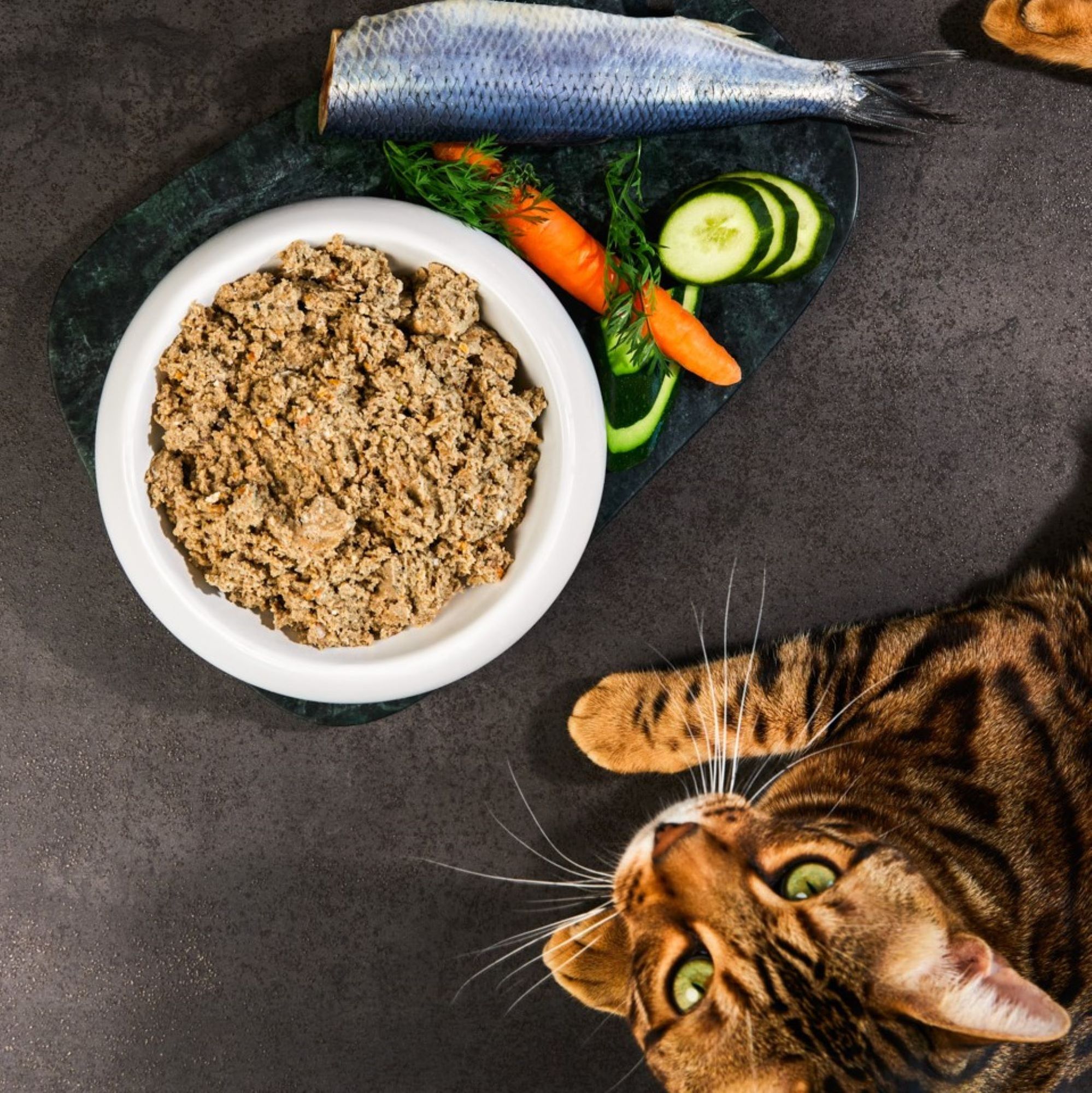 Lucky-Kitty Fisch Premium Hering Nassfutter 1 x 200g getreidefrei