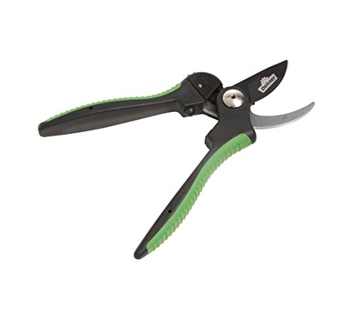 Dehner Hobby Gartenschere Bypass 28 cm bis 2 cm