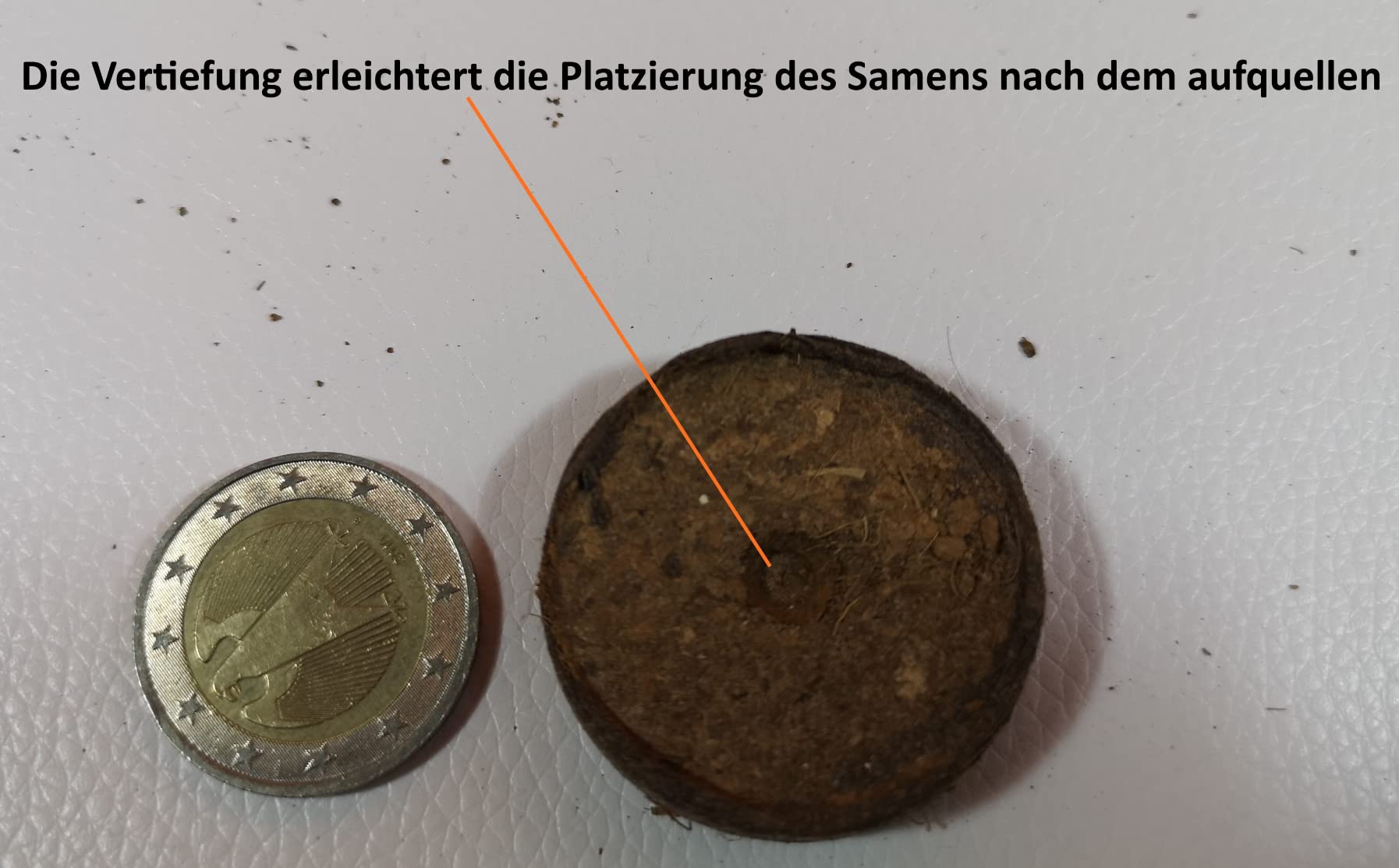 Dehner Kokos-Quelltabletten 38 mm 50 Stück