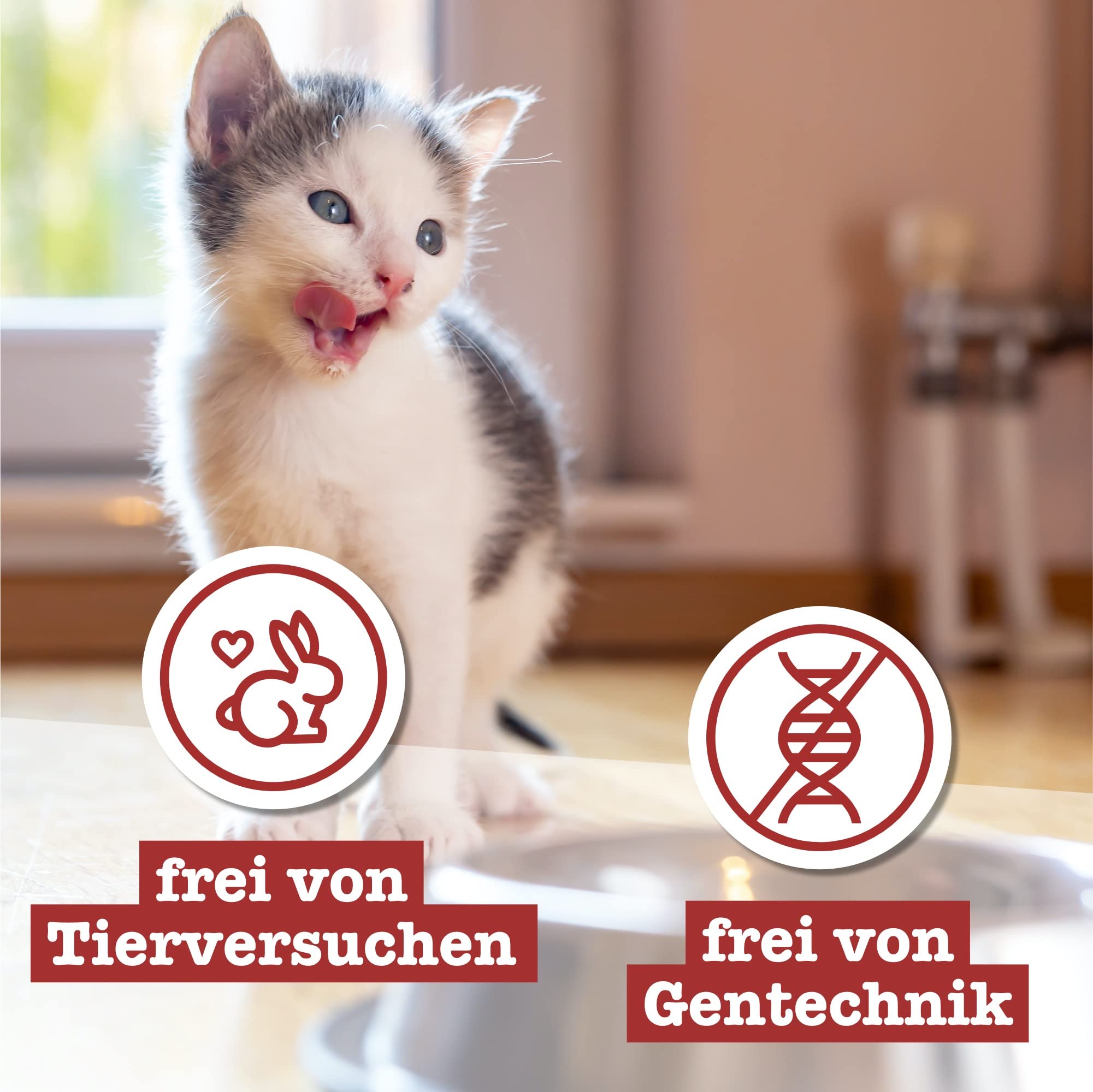 catz finefood Kitten N° 3 Nassfutter Geflügel 6x300g hypoallergen