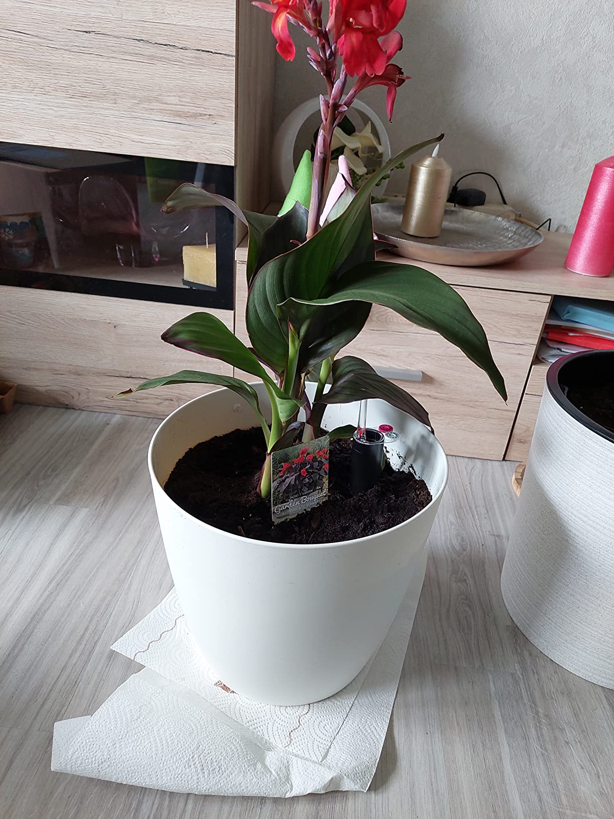 Dehner Premium Lovely Mila Pflanztopf Selbstbewässerung 30cm