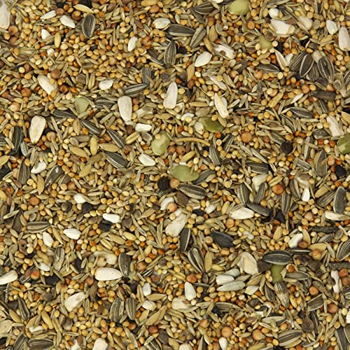 Mr. Crumble Großsittich-Fit Großsittichfutter 2,5 kg Grassamen