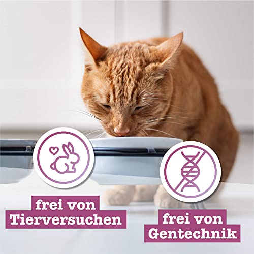 catz finefood Mix-Paket 1 Nassfutter 6x800 g getreidefrei
