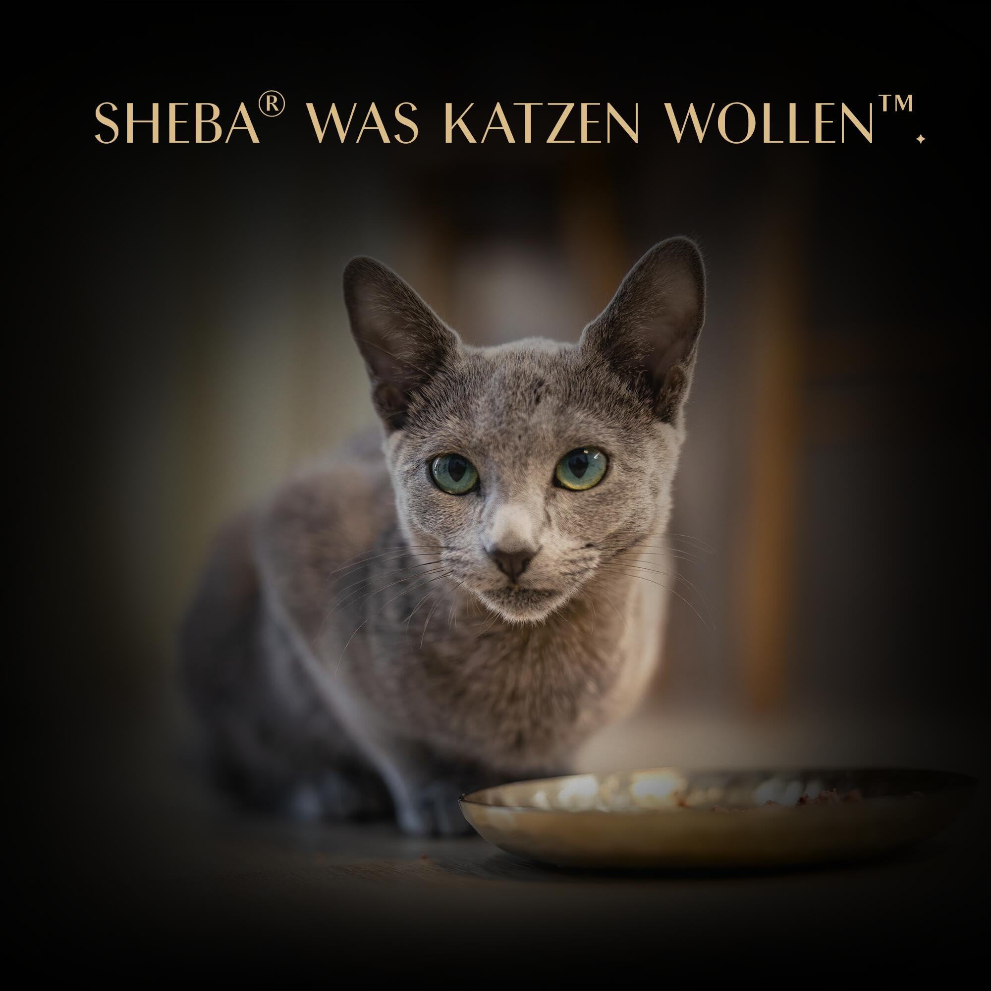 Sheba Filets Sauce Nassfutter 36x60g Huhn Thunfisch Mix