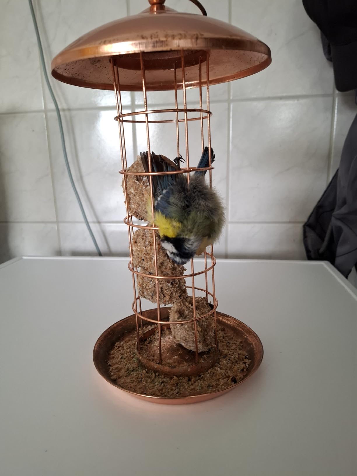 Dehner Natura Joelle Meisenknödelsäule Metall kupfer 30 cm