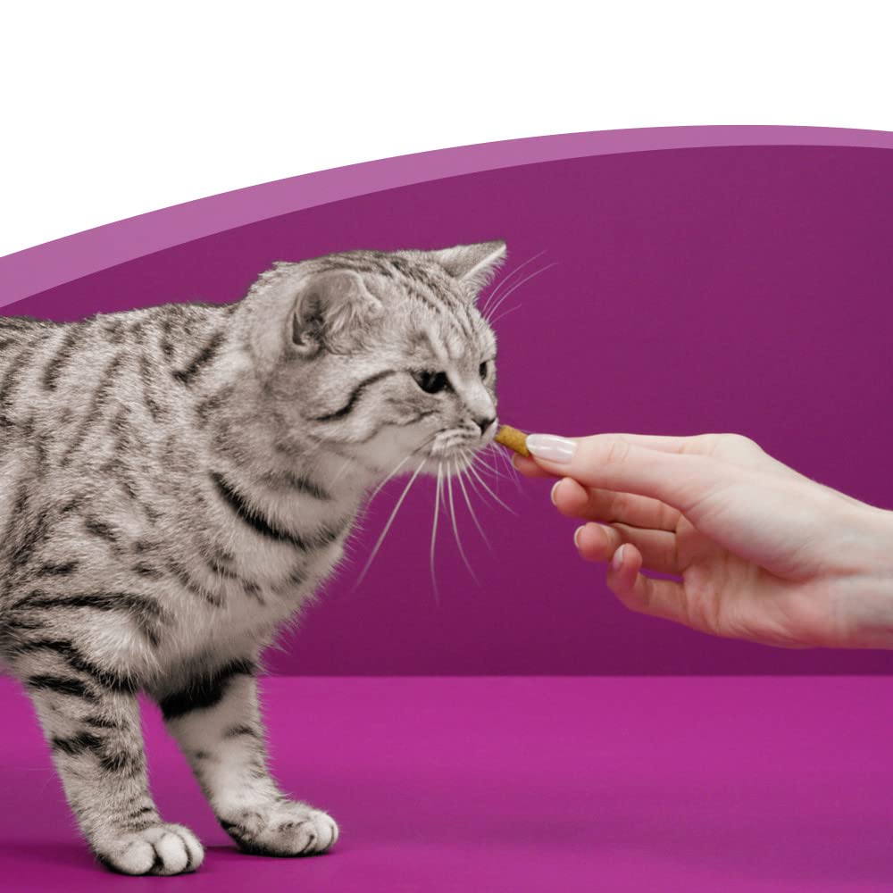 Whiskas Dentabites Katzensnack Huhn 8x40g Zahnpflege