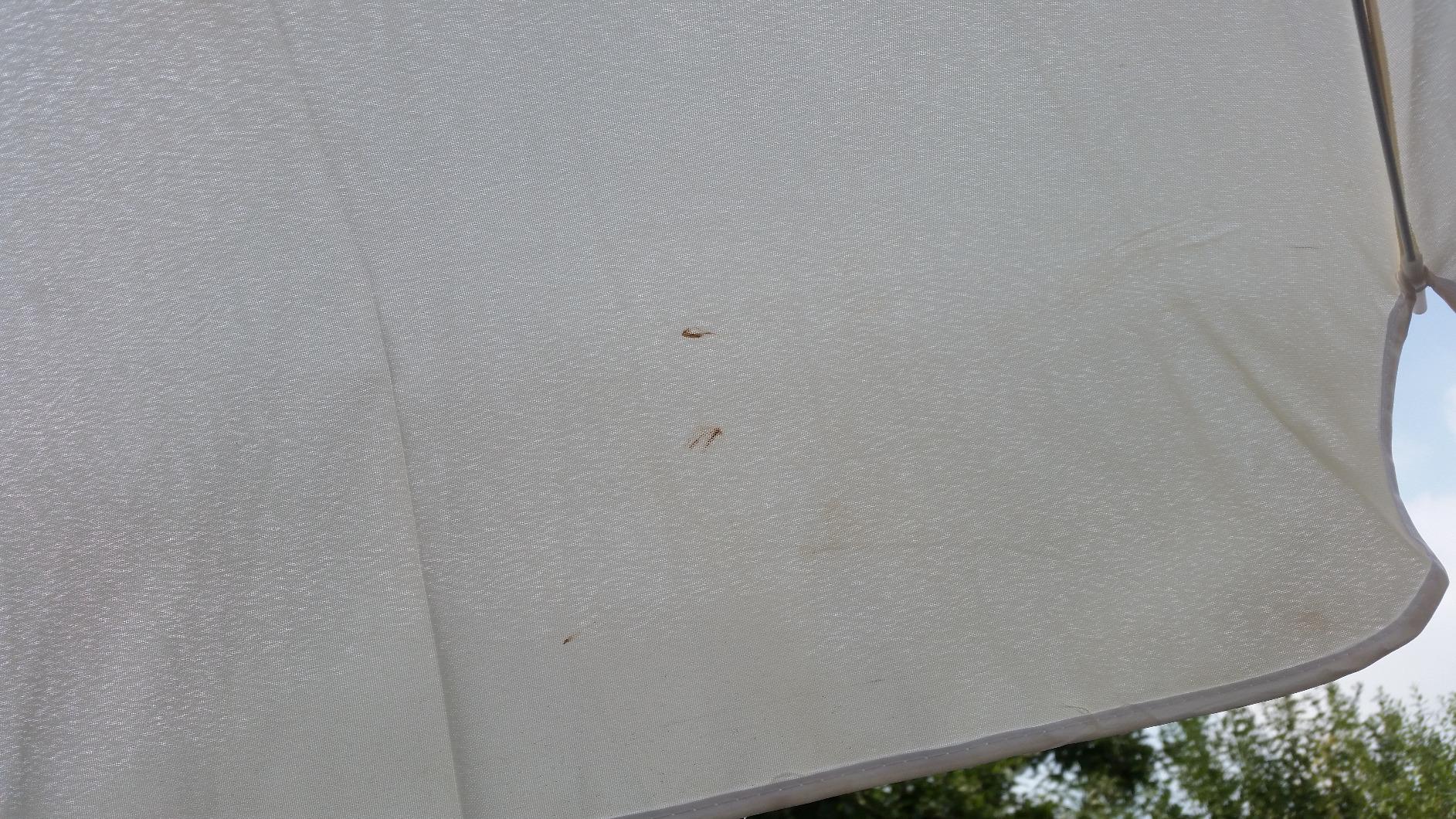Dehner Gute Wahl Sonnenschirm Saturn beige 200 cm