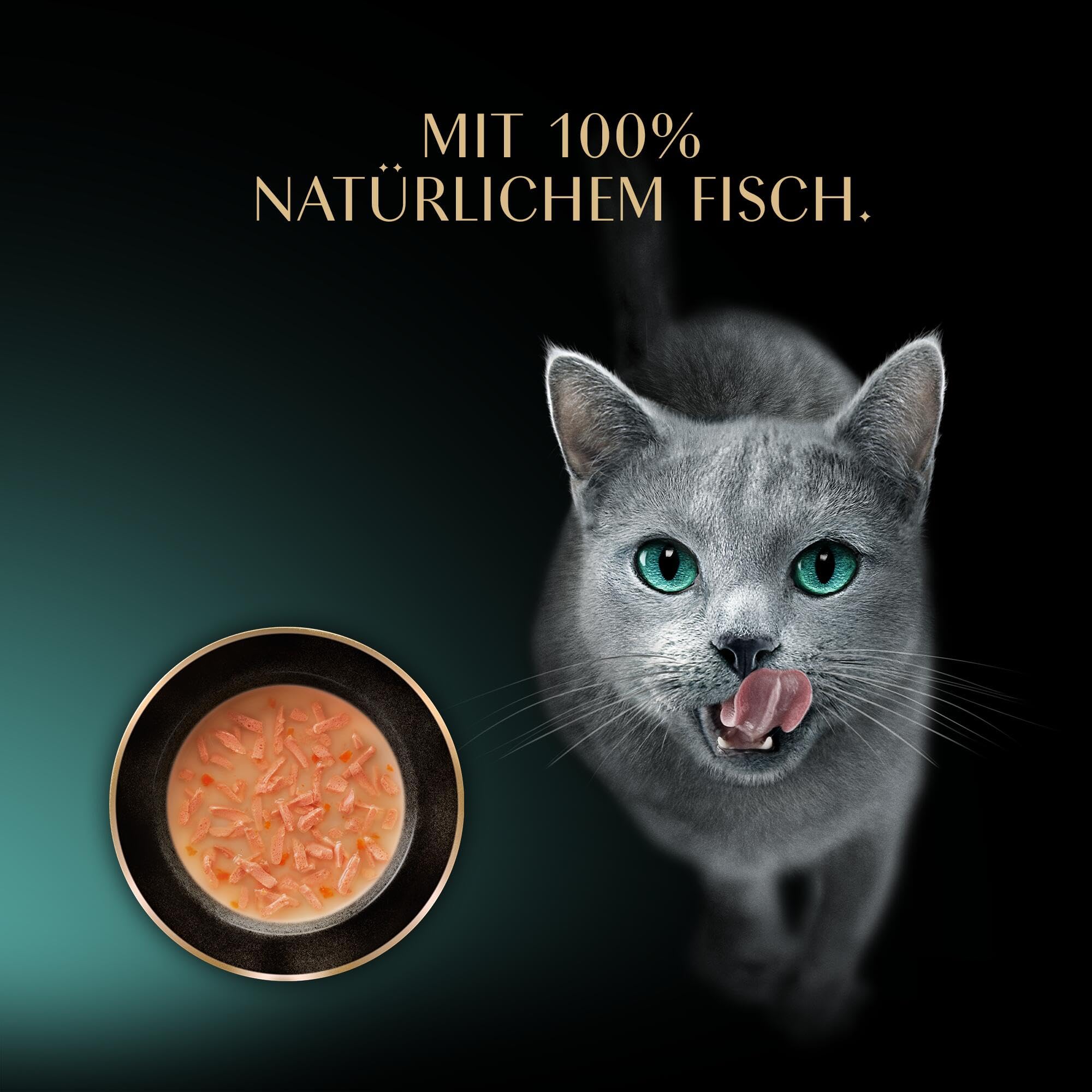 Sheba Soup Lachs Katzensuppe Nassfutter 40x40g samtig