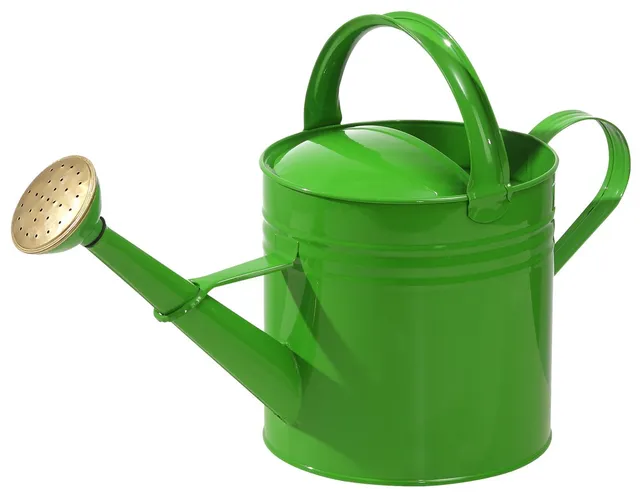 Dehner Premium Lovely Gießkanne nostalgisch Zink 5l grün