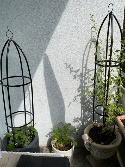Dehner Palermo Ø 40 cm Blumenkübel anthrazit Rollen
