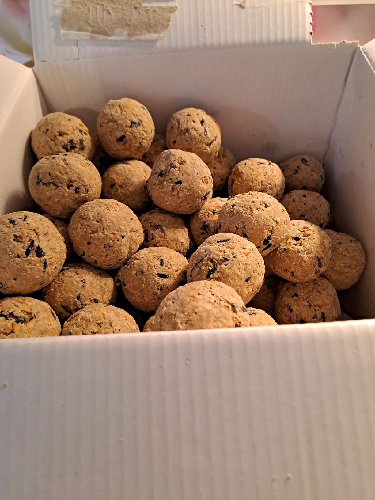 Dehner Natura Meisenknödel ohne Netz Insekten 100x90g proteinreich