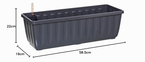 Dehner Aqua-Flor Plus Blumenkasten anthrazit 58,5 cm Bewässerung