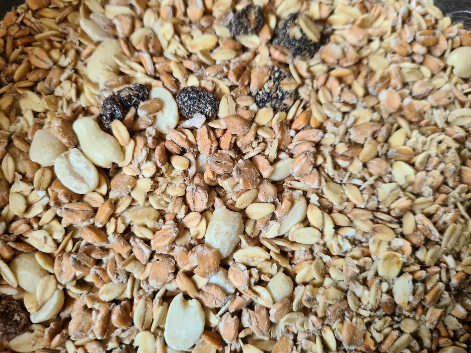 Dehner Natura Premium Wildvogelfutter Fett-Weichfutter 5kg energiereich