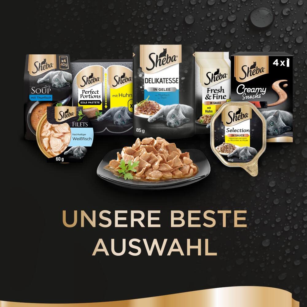 Sheba Fresh Fine Huhn Lachs Sauce Nassfutter 36x50g MSC