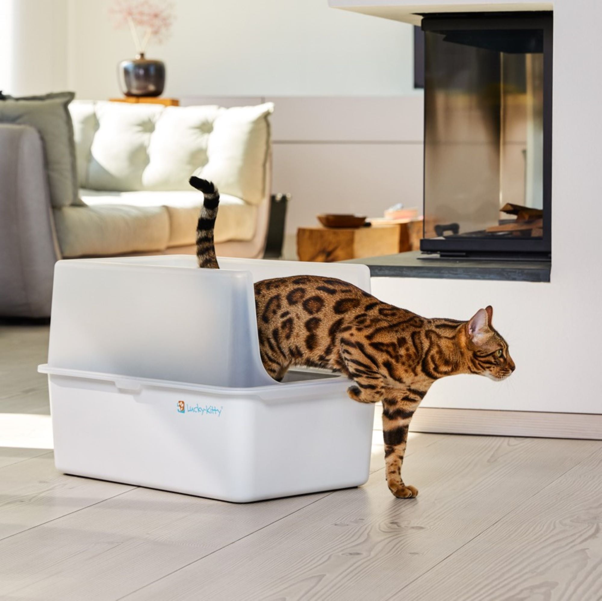 Lucky-Kitty XXL Haube Katzentoilette Schwarz transparent