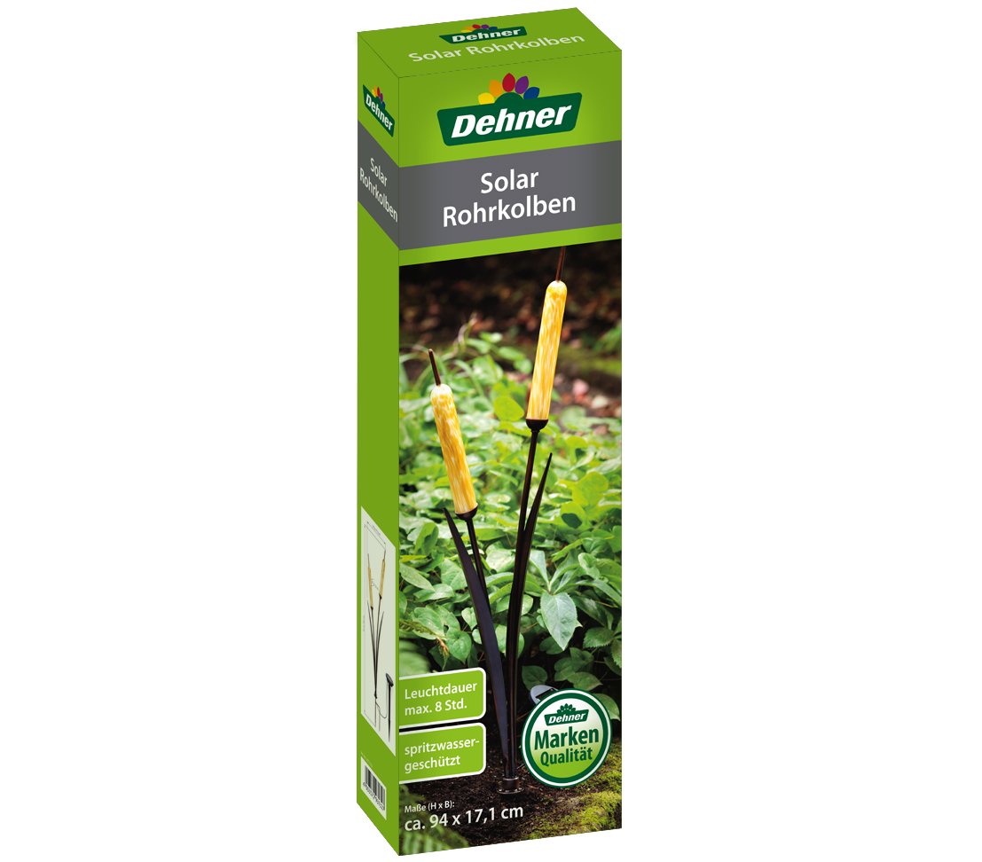 Dehner Lovely Solar Rohrkolben 94 cm Metall Glas 8 Std.