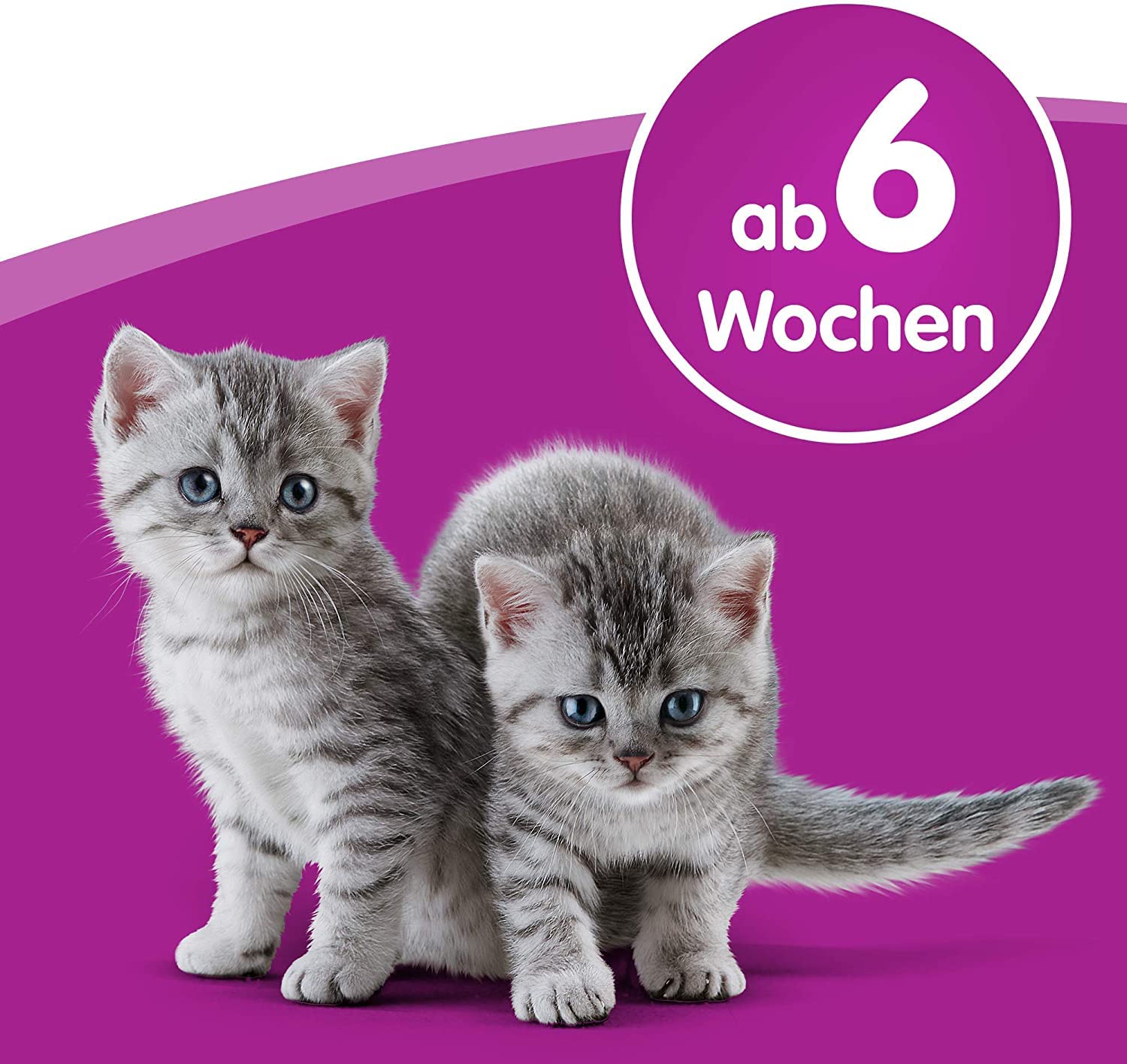 Whiskas Katzenmilch Kitten Snack laktosereduziert 15x200ml