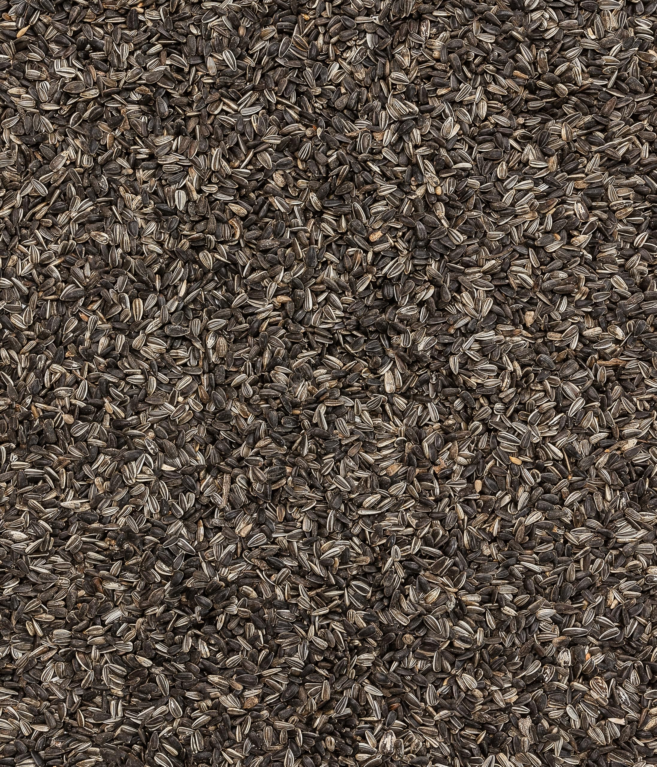 Dehner Natura Premium Sonnenblumenkerne Wildvogelfutter 2,2 kg