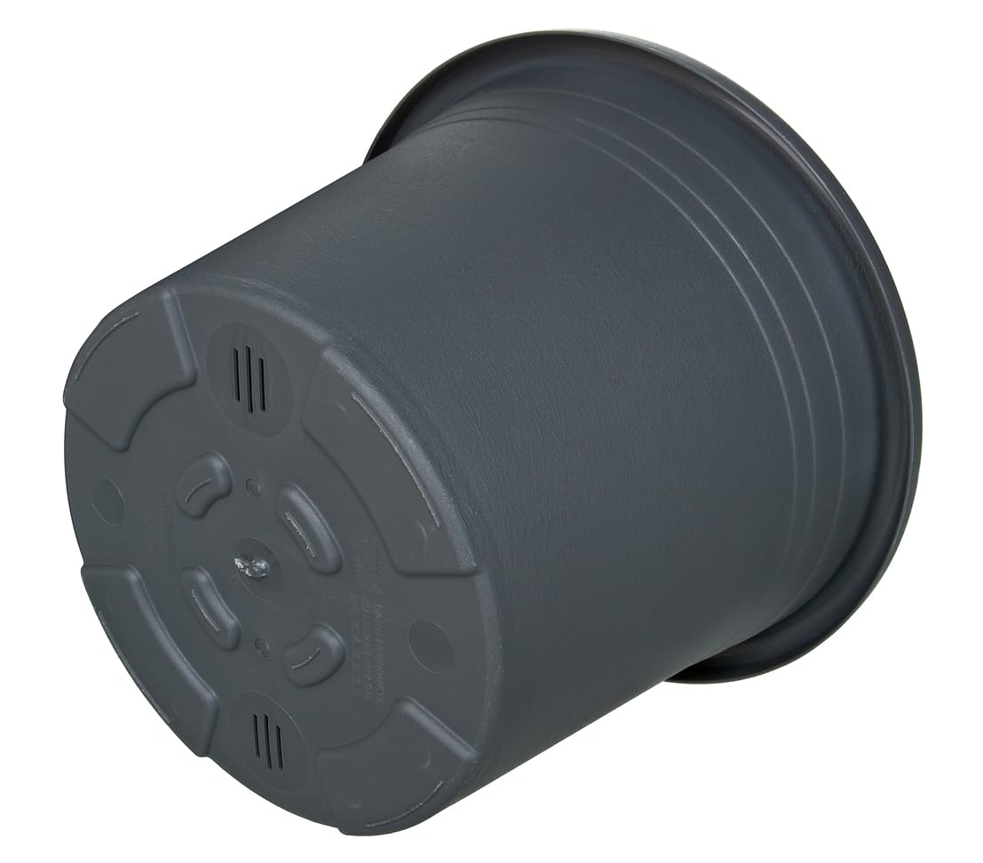 Dehner Cylindro Blumentopf Kunststoff anthrazit Ø 50 cm