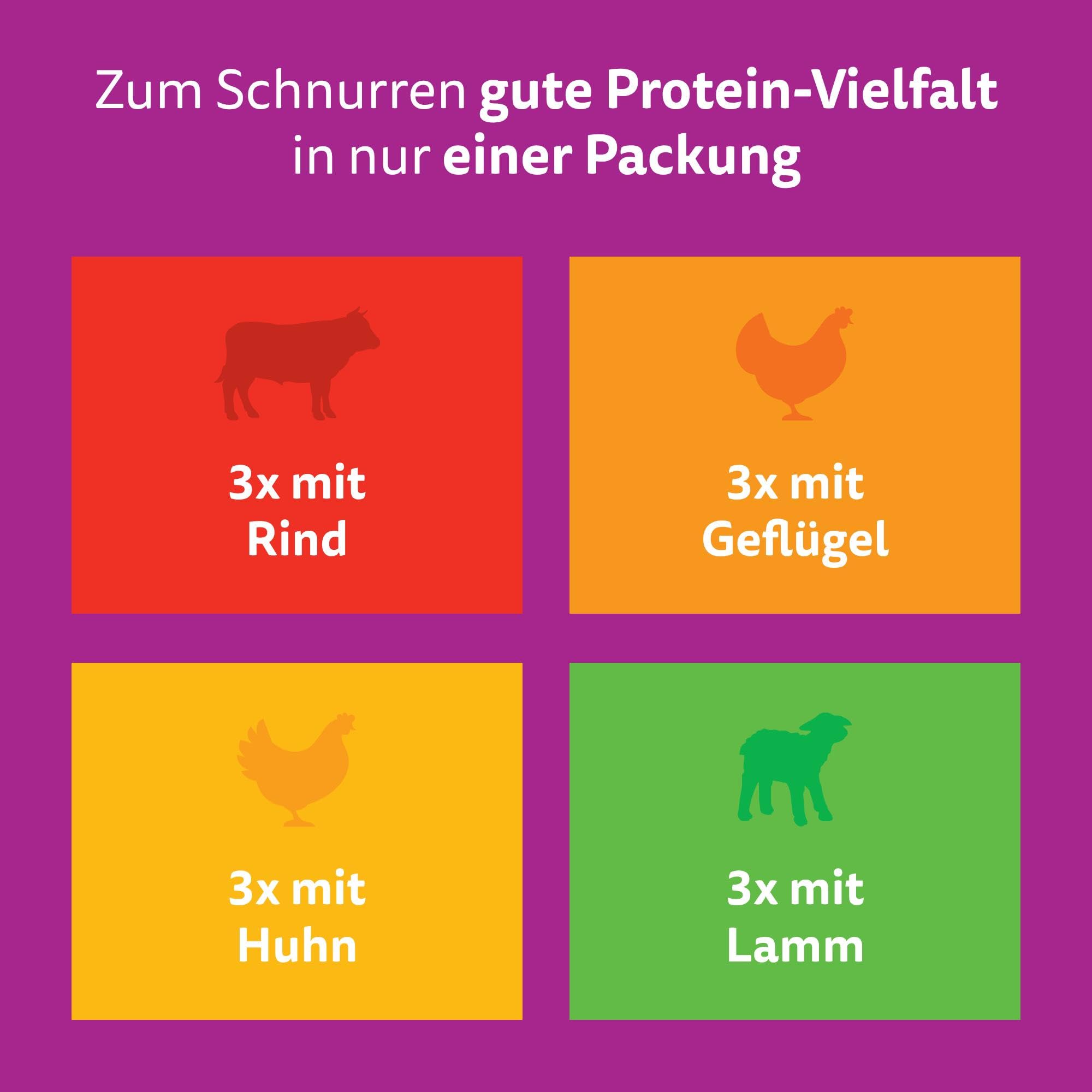 Whiskas 1+ Classic Nassfutter Sauce 48x85g Auswahl