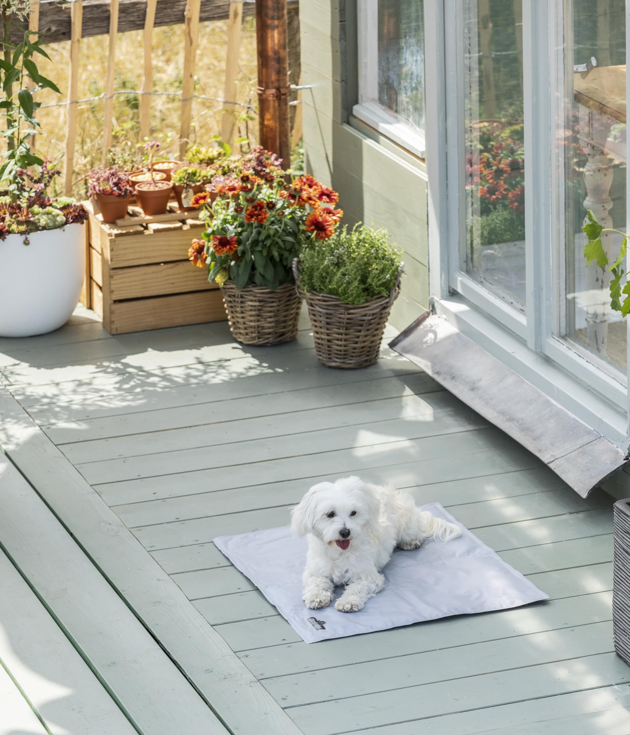 Dehner Refresh Hunde-Kühlmatte grau 60x50 cm Gel