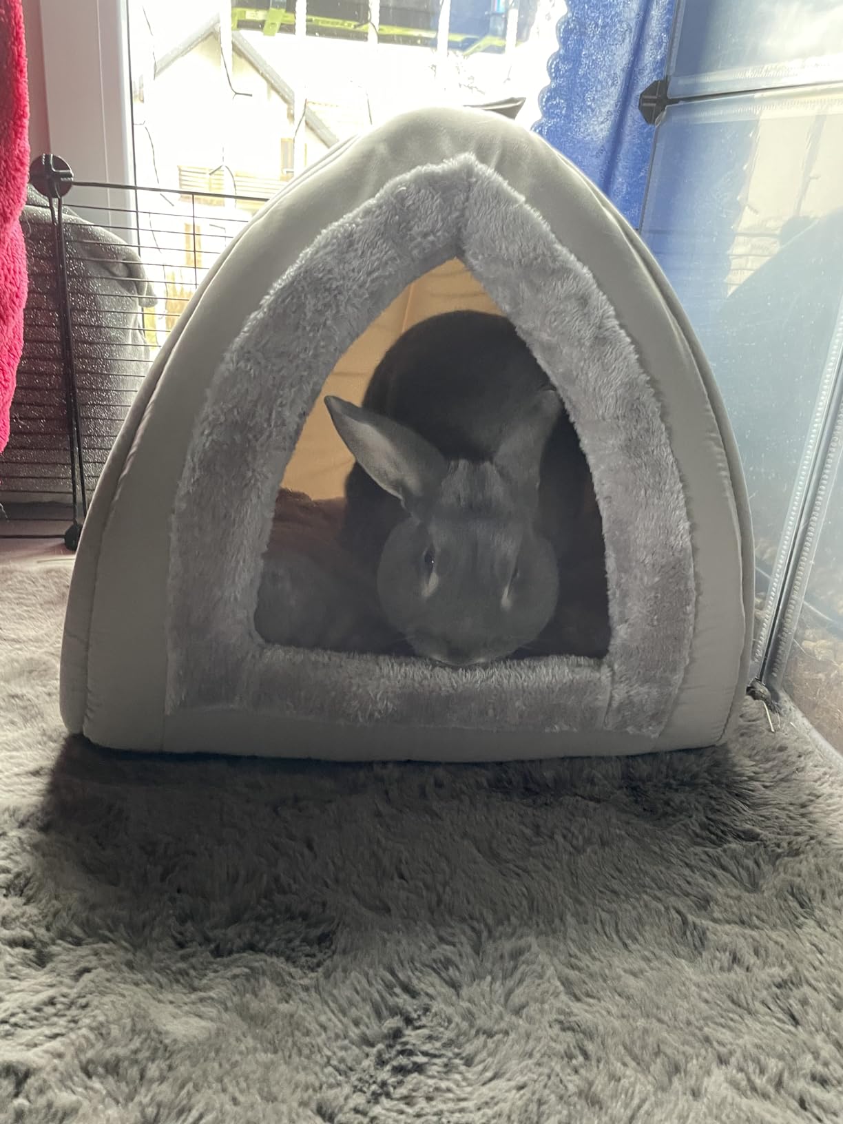 Dehner Lieblinge Findus Katzen Kuschelhöhle Grau 40x40x35