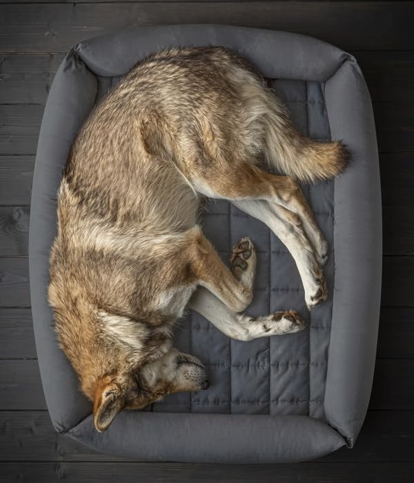 Dehner Wild Nature Nest Hundebett 80x60 dunkelgrau waschbar