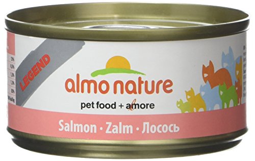 Almo Nature HFC Jelly Nassfutter Lachs 24x70g glutenfrei