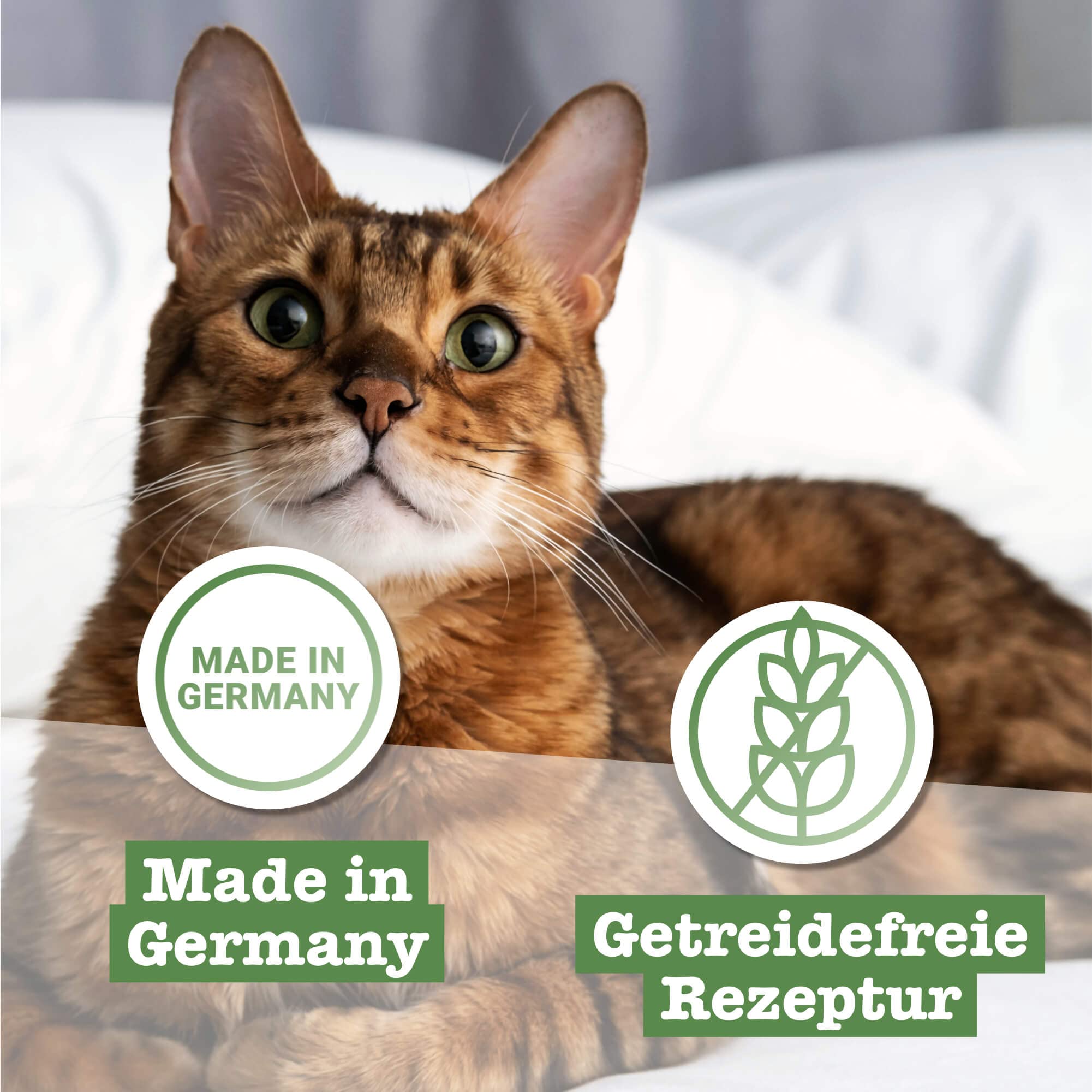 catz finefood N°15 Huhn & Fasan Nassfutter 6x800g getreidefrei