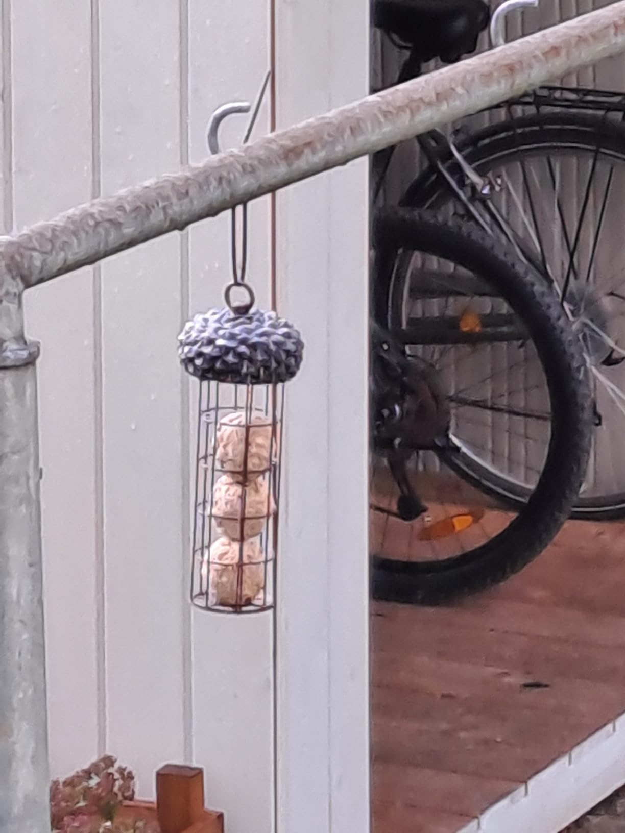 Dehner Natura Meisenknödel ohne Netz Insekten 100x90g proteinreich