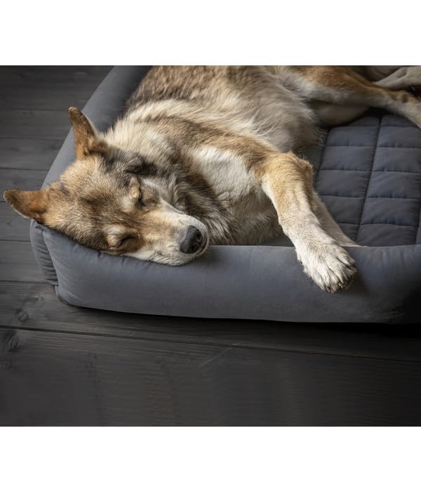 Dehner Wild Nature Nest Hundebett 80x60 dunkelgrau waschbar