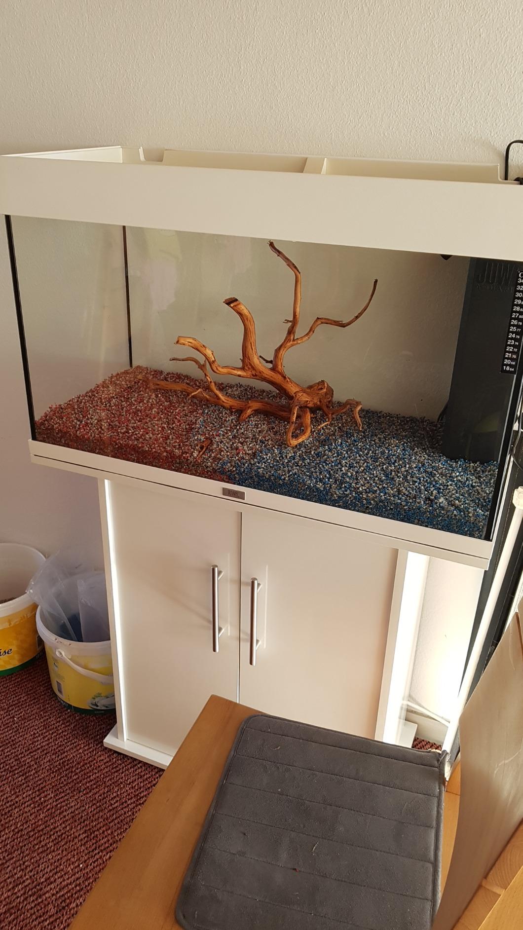 Dehner Aqua Aquarienkies 2-4mm 5kg enzianblau