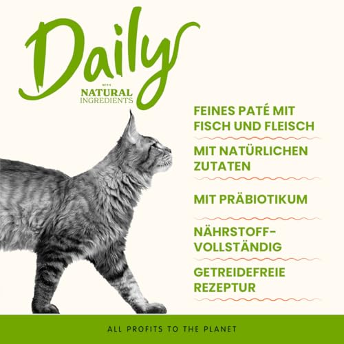 Almo Nature Daily Nassfutter Lachs 32x100 g Paté Adult