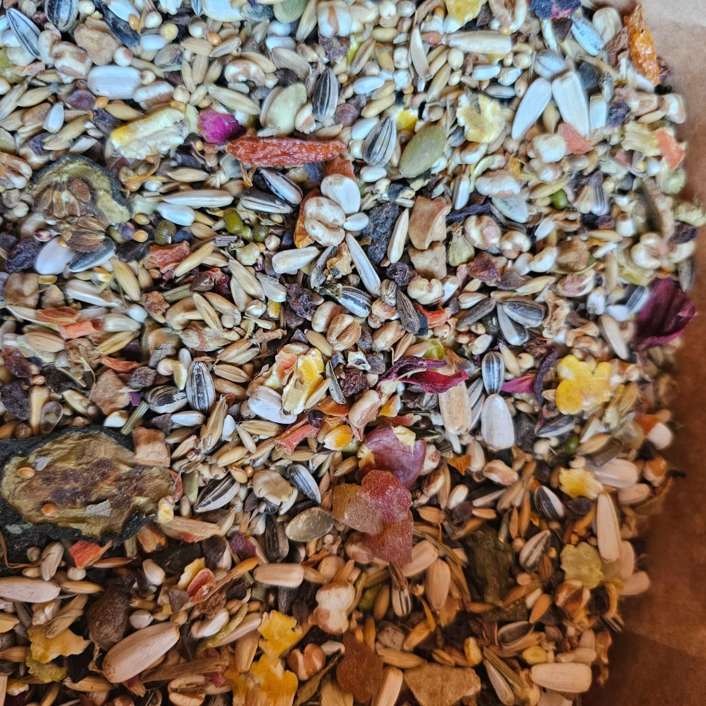 Mr. Crumble Papagei-Topfit Vogelfutter 2,5kg Kräuter